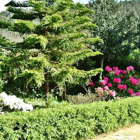 Дом отдыха Casa Lugar Agrochail *
